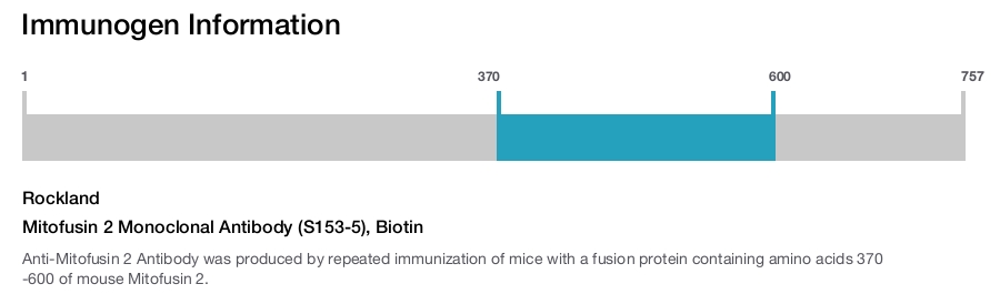 Mitofusin 2 Monoclonal Antibody (S153-5), Biotin