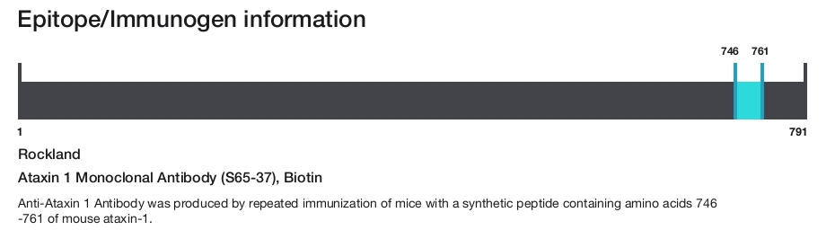 Ataxin 1 Monoclonal Antibody (S65-37), Biotin