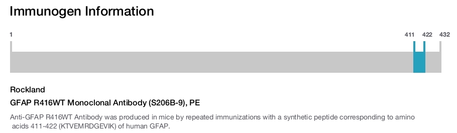 GFAP R416WT Monoclonal Antibody (S206B-9), PE