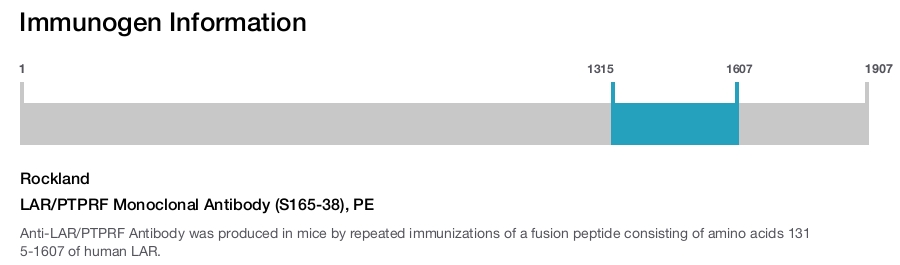 LAR/PTPRF Monoclonal Antibody (S165-38), PE