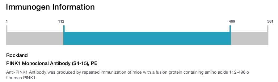 PINK1 Monoclonal Antibody (S4-15), PE