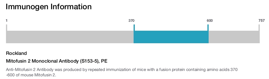 Mitofusin 2 Monoclonal Antibody (S153-5), PE