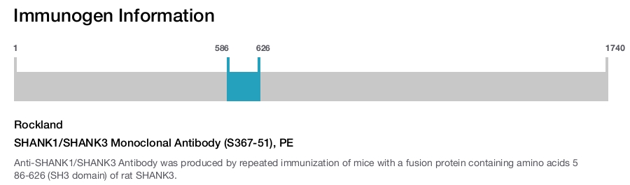 SHANK1/SHANK3 Monoclonal Antibody (S367-51), PE