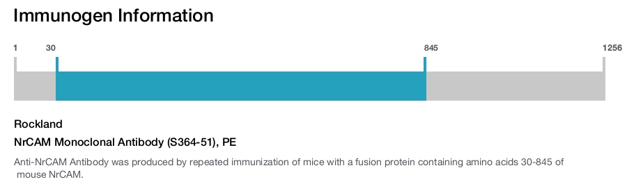 NrCAM Monoclonal Antibody (S364-51), PE
