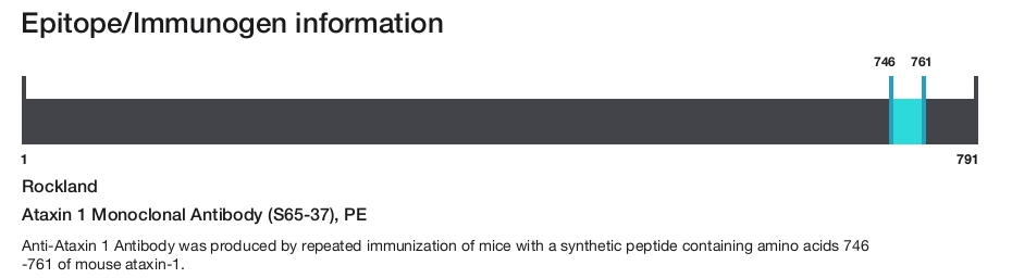 Ataxin 1 Monoclonal Antibody (S65-37), PE