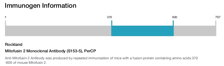 Mitofusin 2 Monoclonal Antibody (S153-5), PerCP