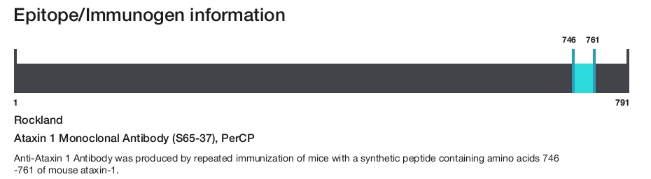 Ataxin 1 Monoclonal Antibody (S65-37), PerCP