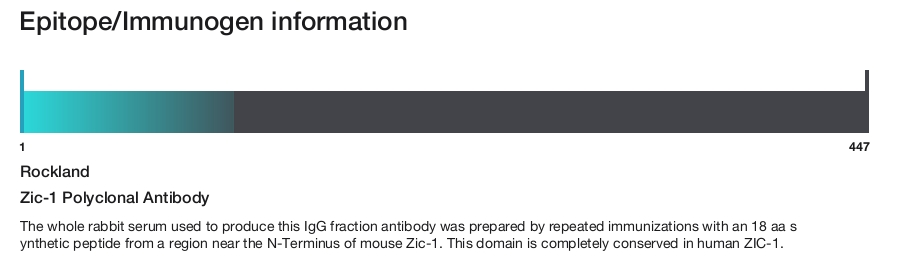 Zic-1 Polyclonal Antibody
