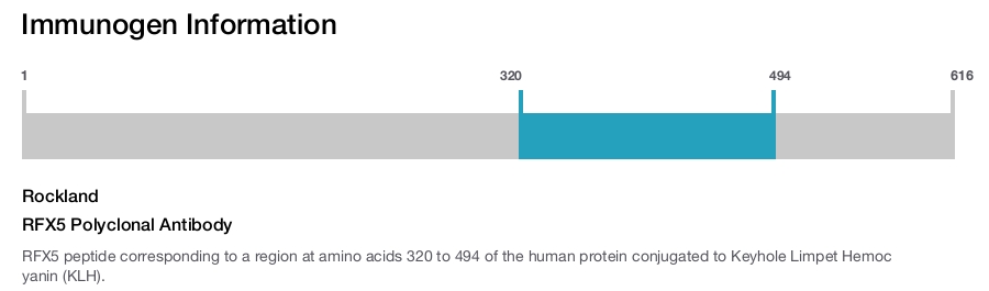 RFX5 Polyclonal Antibody