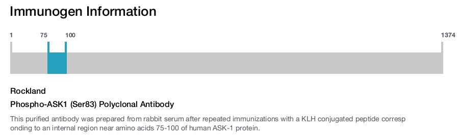 Phospho-ASK1 (Ser83) Polyclonal Antibody