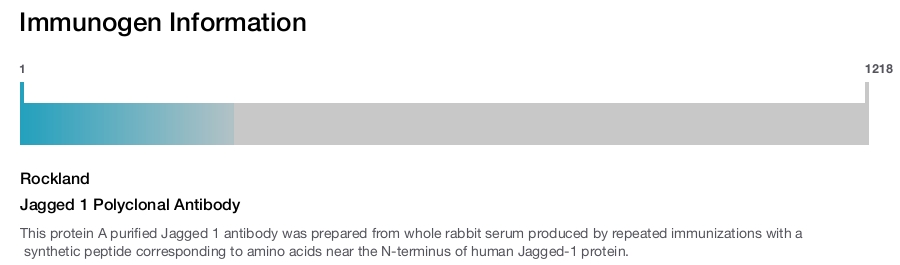 Jagged 1 Polyclonal Antibody