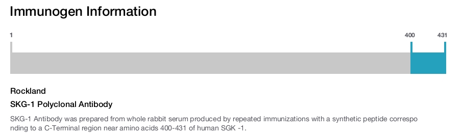 SKG-1 Polyclonal Antibody