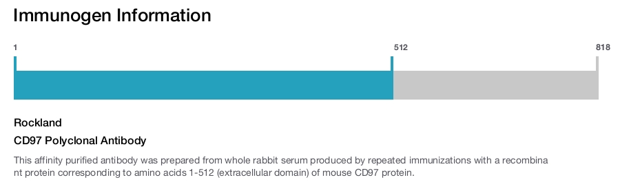 CD97 Polyclonal Antibody