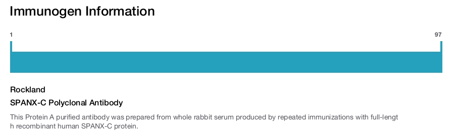SPANX-C Polyclonal Antibody