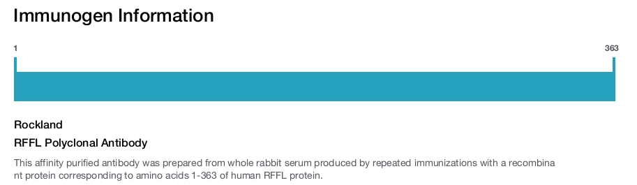 RFFL Polyclonal Antibody
