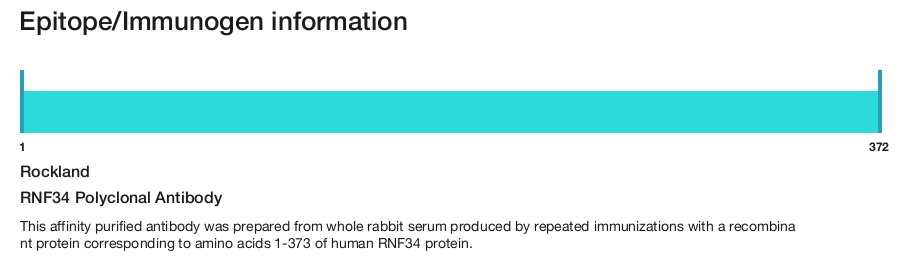 RNF34 Polyclonal Antibody