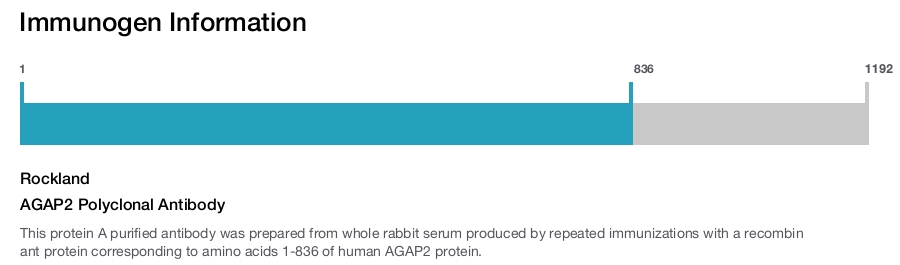 AGAP2 Polyclonal Antibody