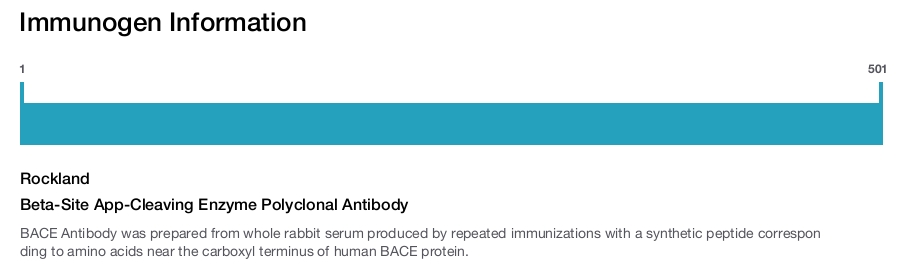 Beta-Site App-Cleaving Enzyme Polyclonal Antibody