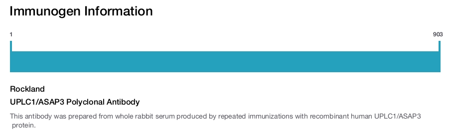 UPLC1/ASAP3 Polyclonal Antibody