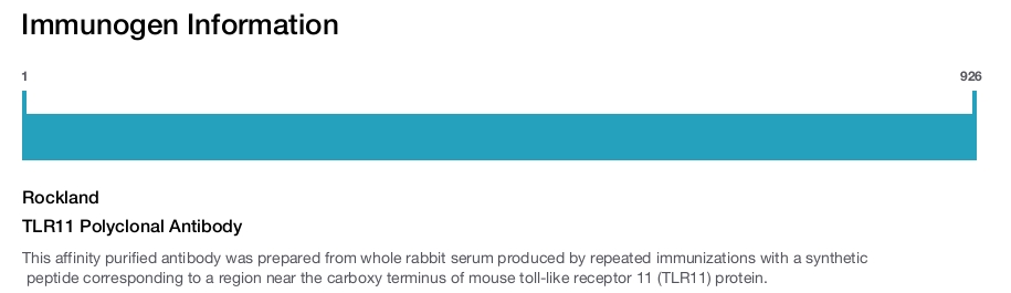TLR11 Polyclonal Antibody