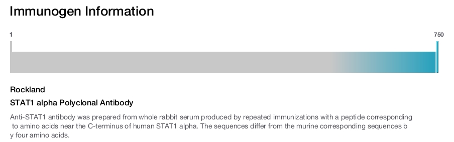 STAT1 alpha Polyclonal Antibody