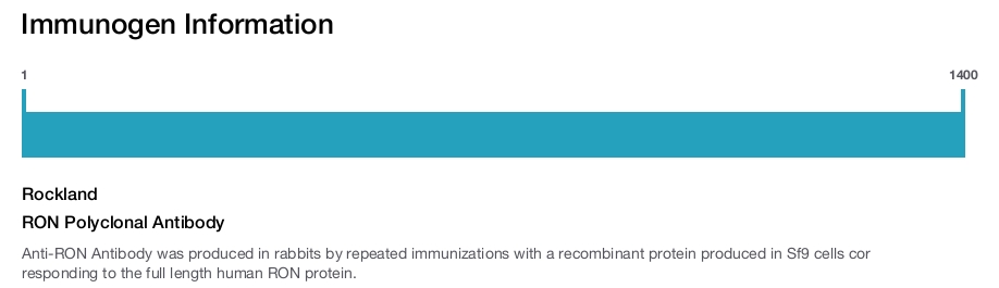 RON Polyclonal Antibody