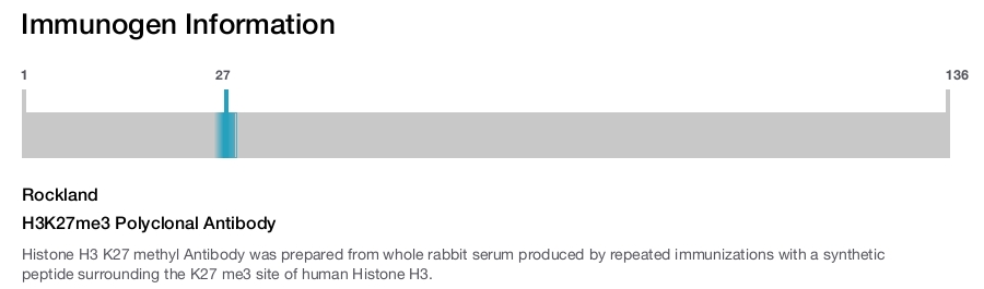 H3K27me3 Polyclonal Antibody