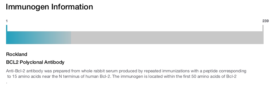 BCL2 Polyclonal Antibody