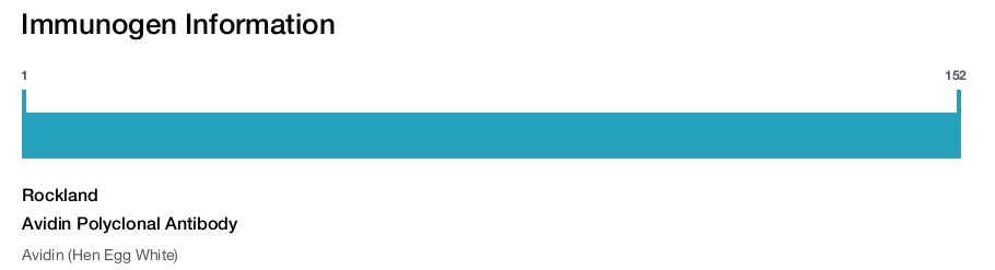 Avidin Polyclonal Antibody
