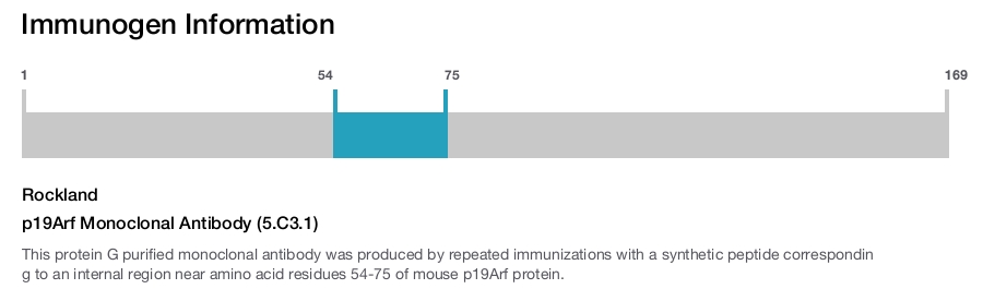 p19Arf Monoclonal Antibody (5.C3.1)