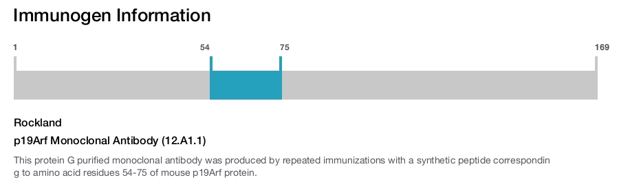 p19Arf Monoclonal Antibody (12.A1.1)