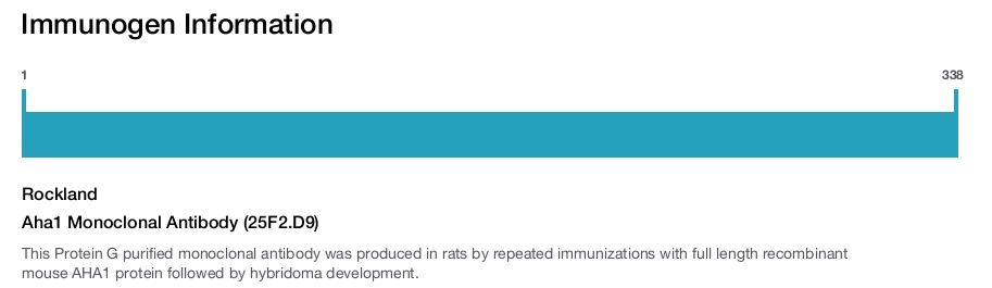 Aha1 Monoclonal Antibody (25F2.D9)