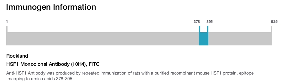 HSF1 Monoclonal Antibody (10H4), FITC