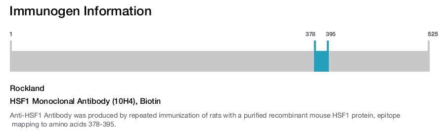 HSF1 Monoclonal Antibody (10H4), Biotin