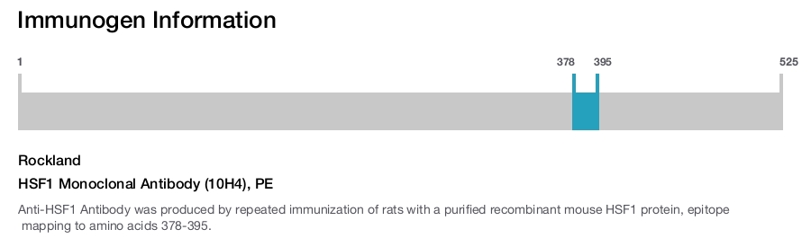 HSF1 Monoclonal Antibody (10H4), PE