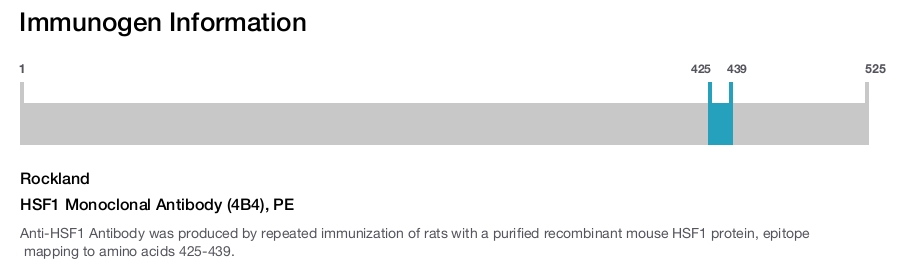 HSF1 Monoclonal Antibody (4B4), PE