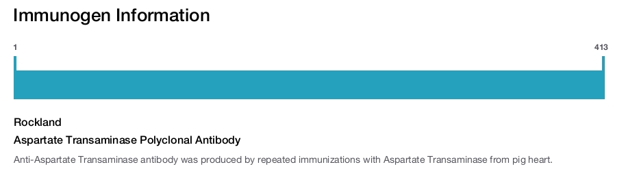Aspartate Transaminase Polyclonal Antibody