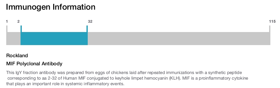 MIF Polyclonal Antibody