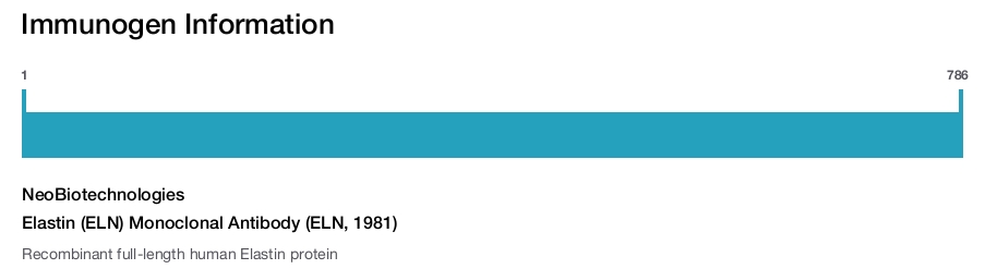 Elastin (ELN) Monoclonal Antibody (ELN, 1981)