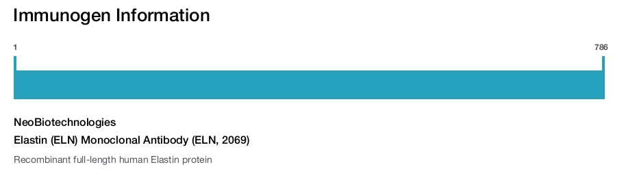 Elastin (ELN) Monoclonal Antibody (ELN, 2069)