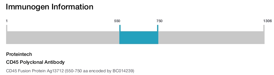 CD45 Polyclonal Antibody