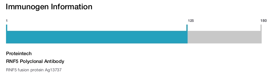 RNF5 Polyclonal Antibody
