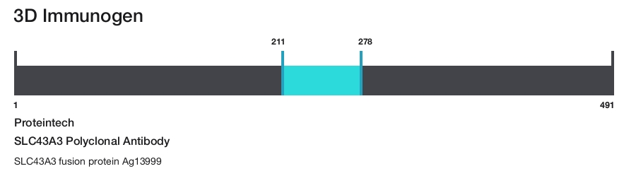 SLC43A3 Polyclonal Antibody