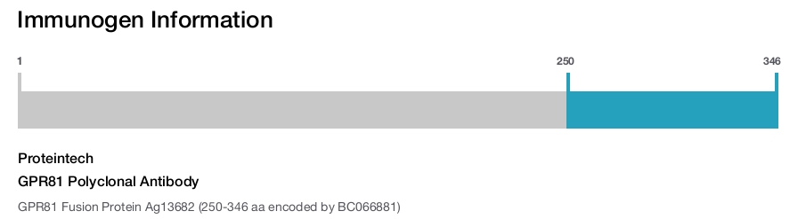 GPR81 Polyclonal Antibody