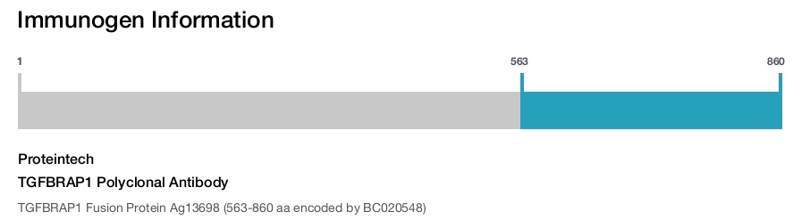 TGFBRAP1 Polyclonal Antibody