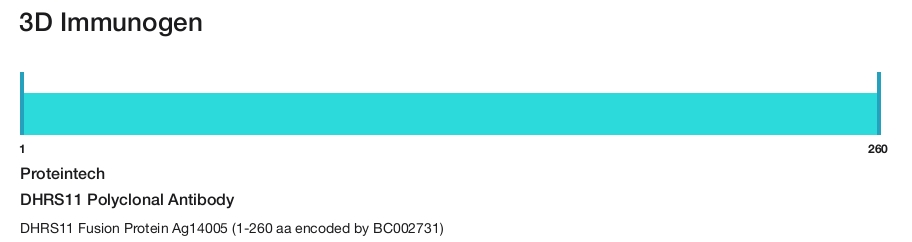 DHRS11 Polyclonal Antibody