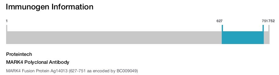 MARK4 Polyclonal Antibody