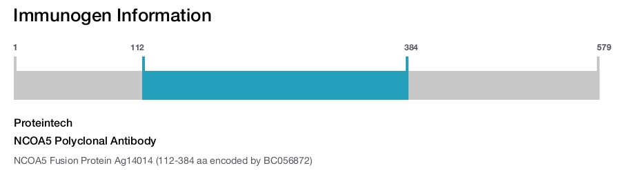 NCOA5 Polyclonal Antibody