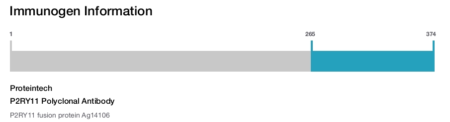 P2RY11 Polyclonal Antibody