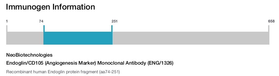 Endoglin/CD105 (Angiogenesis Marker) Monoclonal Antibody (ENG/1326)